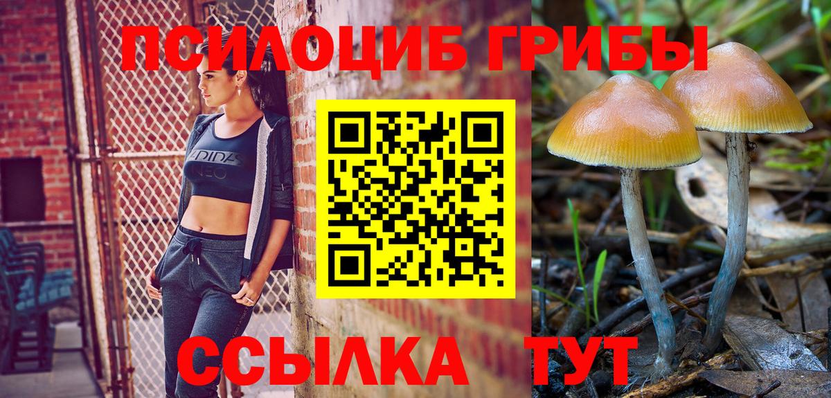 Псилоцибиновые грибы Psilocybine cubensis Баксан
